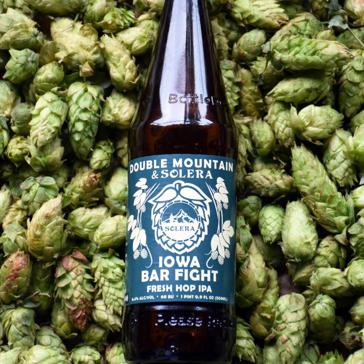 Fresh Hop Iowa Bar Fight