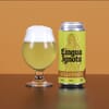 Lingua Ignota