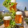 CoHoperative Ale