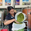 Community Harvest Fresh Hop Ale